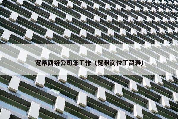宽带网络公司年工作（宽带岗位工资表）