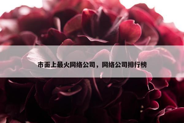 市面上最火网络公司，网络公司排行榜