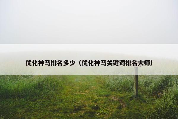 优化神马排名多少（优化神马关键词排名大师）