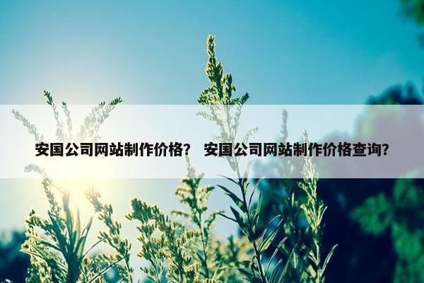安国公司网站制作价格？ 安国公司网站制作价格查询？