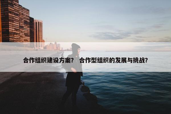 合作组织建设方案？ 合作型组织的发展与挑战？