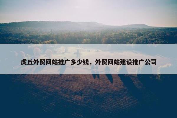 虎丘外贸网站推广多少钱，外贸网站建设推广公司
