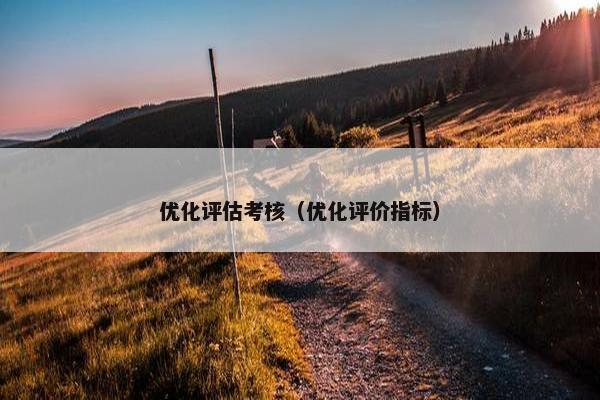 优化评估考核（优化评价指标）