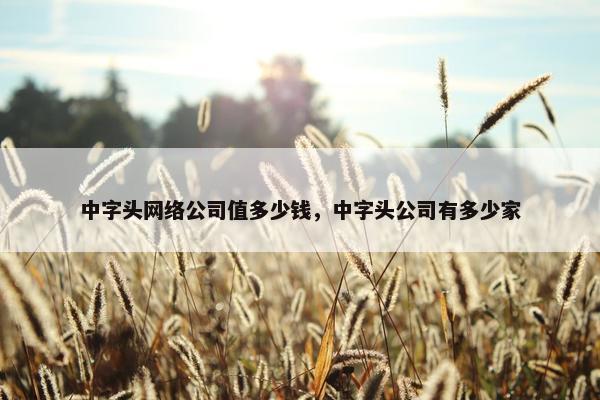 中字头网络公司值多少钱，中字头公司有多少家