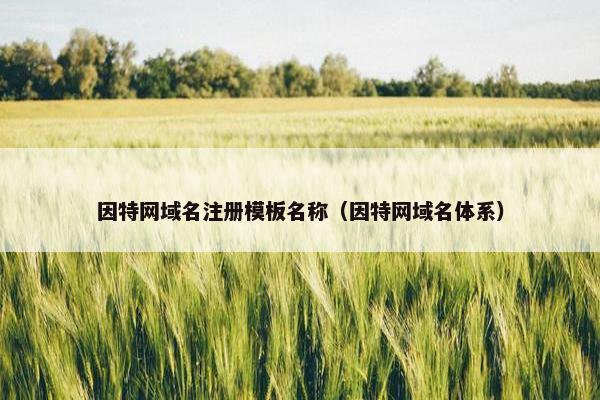 因特网域名注册模板名称（因特网域名体系）