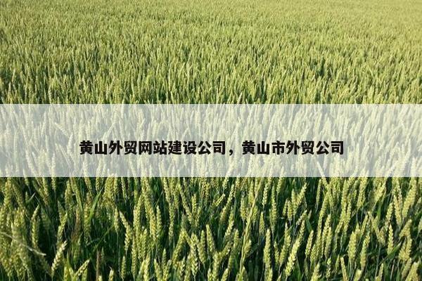 黄山外贸网站建设公司，黄山市外贸公司