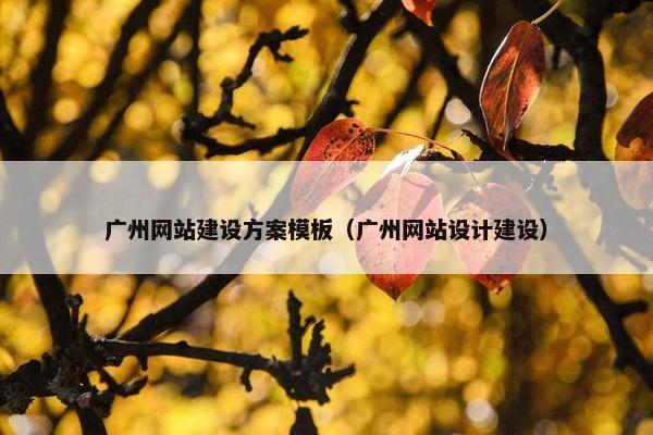 广州网站建设方案模板（广州网站设计建设）