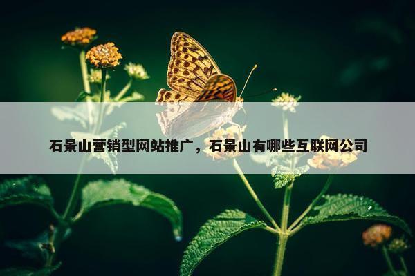 石景山营销型网站推广，石景山有哪些互联网公司