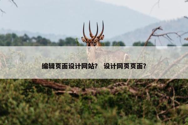 编辑页面设计网站？ 设计网页页面？