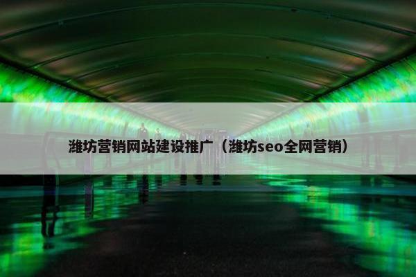 潍坊营销网站建设推广（潍坊seo全网营销）