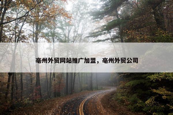 亳州外贸网站推广加盟，亳州外贸公司
