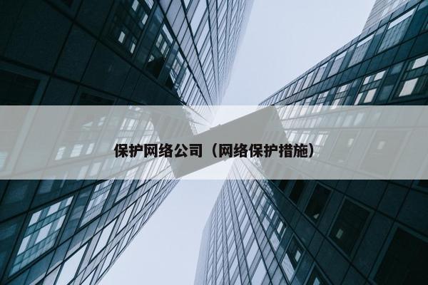 保护网络公司（网络保护措施）