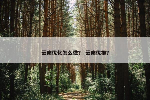 云南优化怎么做？ 云南优推？