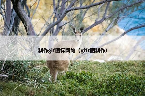 制作gif图标网站（gift图制作）
