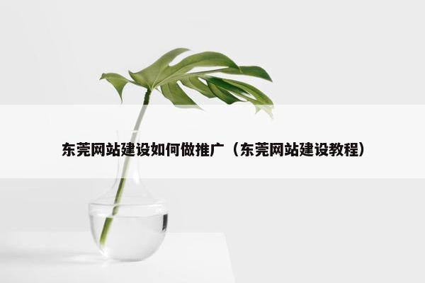 东莞网站建设如何做推广（东莞网站建设教程）