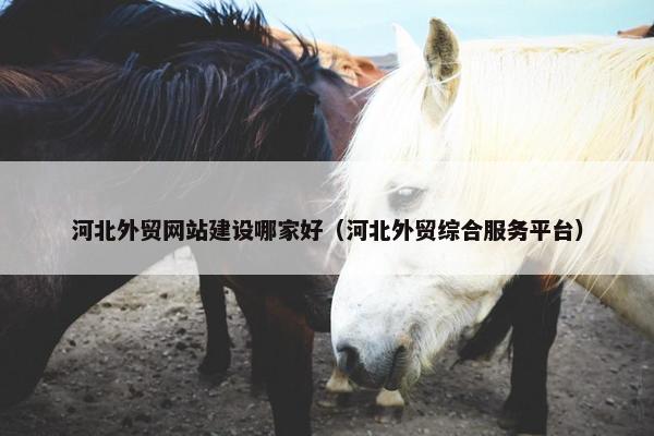 河北外贸网站建设哪家好（河北外贸综合服务平台）