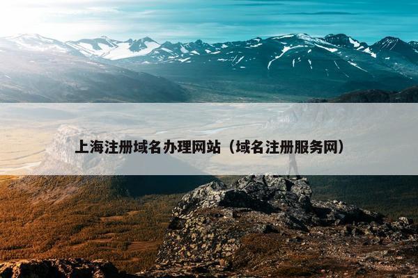 上海注册域名办理网站（域名注册服务网）