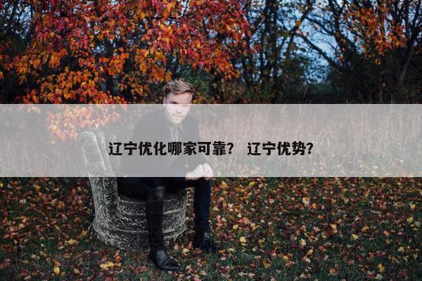 辽宁优化哪家可靠？ 辽宁优势？
