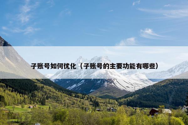 子账号如何优化（子账号的主要功能有哪些）