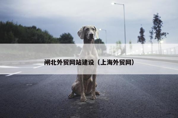 闸北外贸网站建设（上海外贸网）