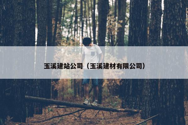 玉溪建站公司（玉溪建材有限公司）