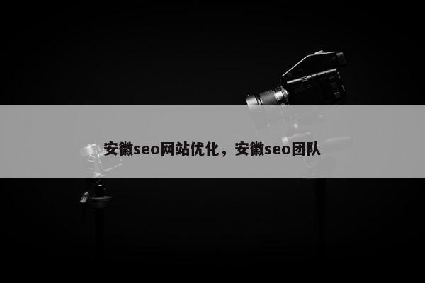 安徽seo网站优化，安徽seo团队
