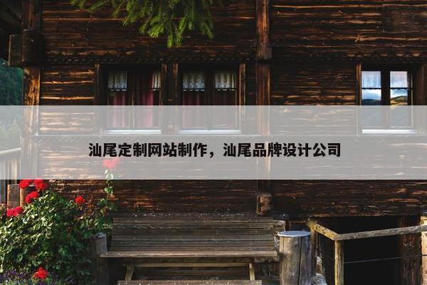 汕尾定制网站制作，汕尾品牌设计公司