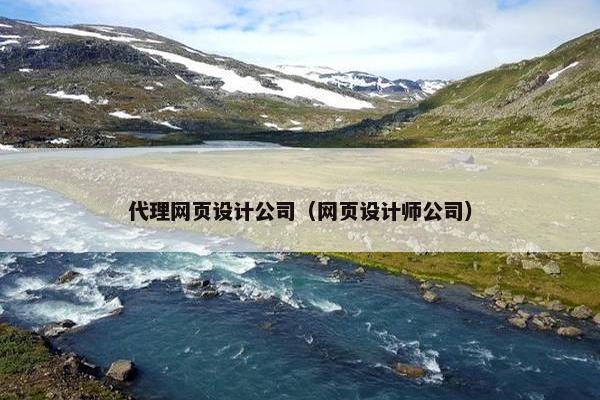 代理网页设计公司（网页设计师公司）