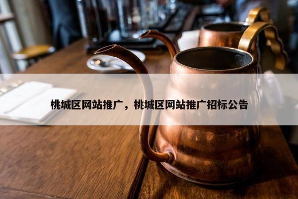 桃城区网站推广，桃城区网站推广招标公告