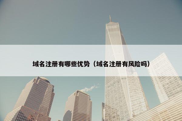 域名注册有哪些优势（域名注册有风险吗）