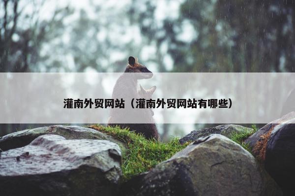 灌南外贸网站（灌南外贸网站有哪些）
