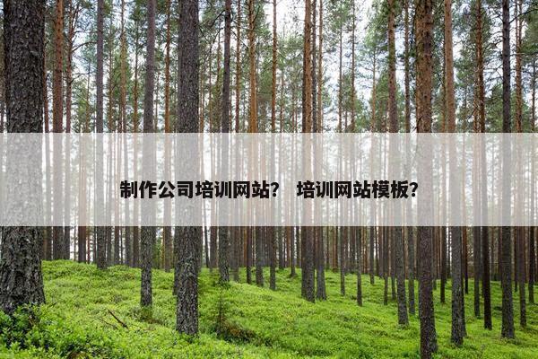 制作公司培训网站？ 培训网站模板？