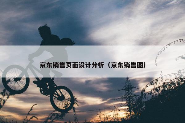 京东销售页面设计分析（京东销售图）