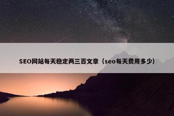 SEO网站每天稳定两三百文章（seo每天费用多少）