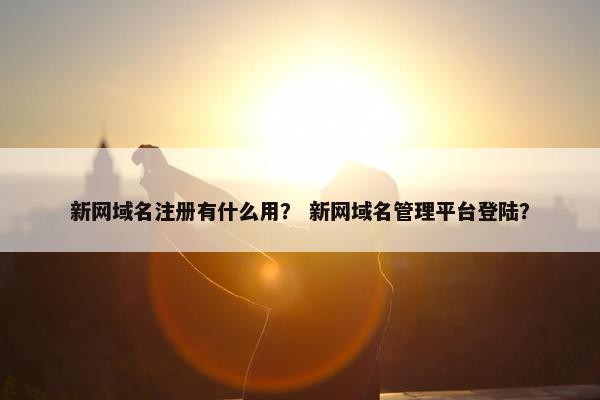 新网域名注册有什么用？ 新网域名管理平台登陆？