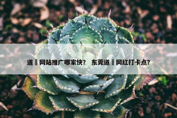 道滘网站推广哪家快？ 东莞道滘网红打卡点？