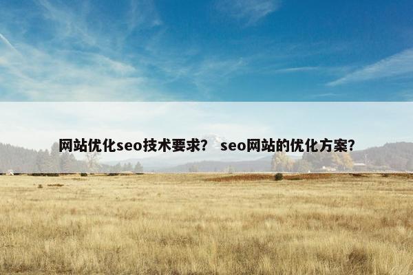 网站优化seo技术要求？ seo网站的优化方案？