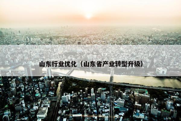 山东行业优化（山东省产业转型升级）