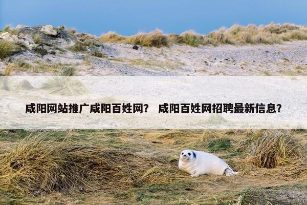 咸阳网站推广咸阳百姓网？ 咸阳百姓网招聘最新信息？