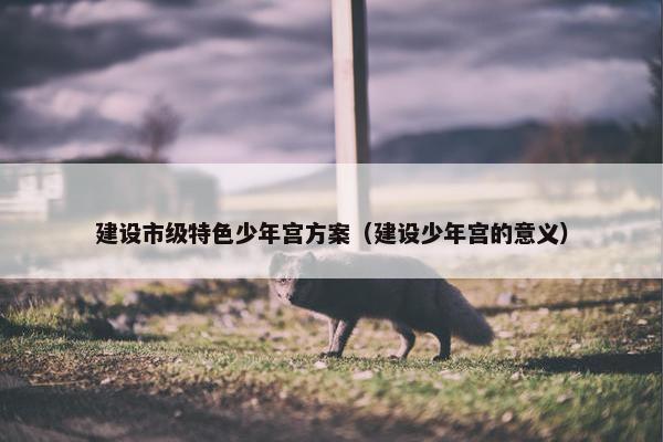建设市级特色少年宫方案（建设少年宫的意义）