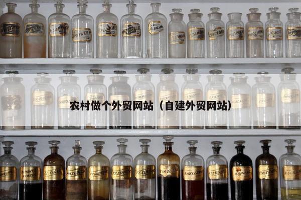 农村做个外贸网站（自建外贸网站）