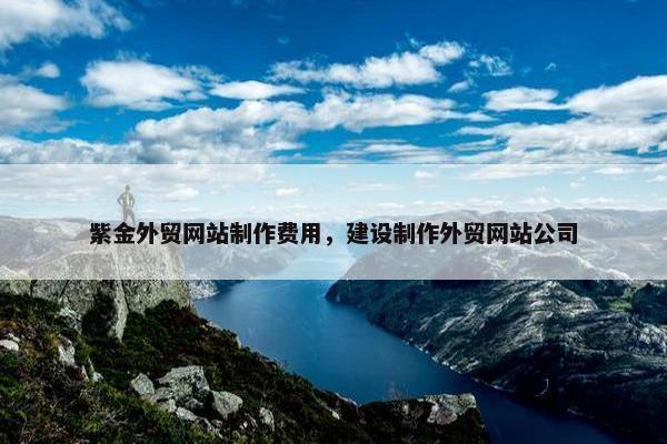 紫金外贸网站制作费用，建设制作外贸网站公司