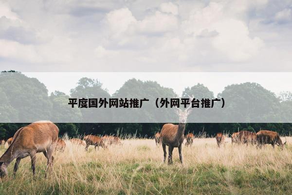 平度国外网站推广（外网平台推广）