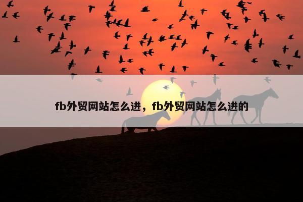 fb外贸网站怎么进，fb外贸网站怎么进的
