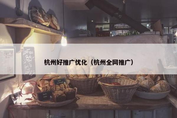 杭州好推广优化（杭州全网推广）