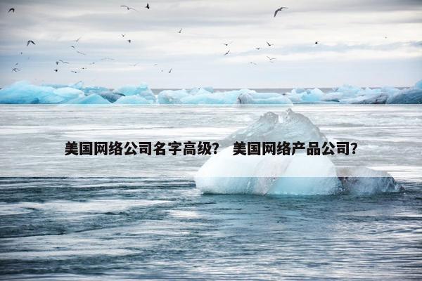 美国网络公司名字高级？ 美国网络产品公司？