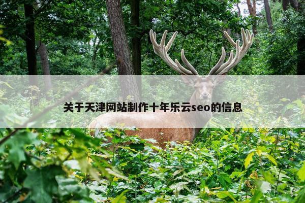关于天津网站制作十年乐云seo的信息