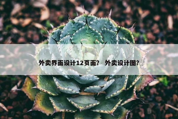 外卖界面设计12页面？ 外卖设计图？