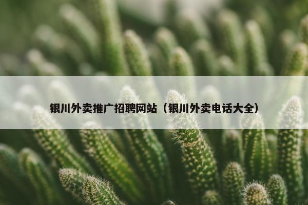 银川外卖推广招聘网站（银川外卖电话大全）
