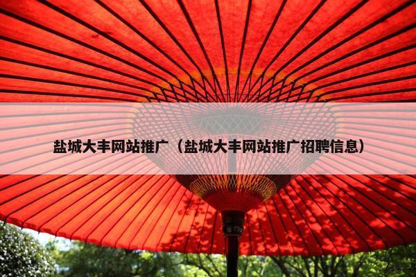 盐城大丰网站推广（盐城大丰网站推广招聘信息）
